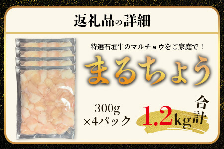 希少な特選石垣牛のホルモンをご家庭で！！マルチョウ300g×4パック【 沖縄 石垣 和牛 石垣牛 希少 特選 肉 ホルモン マルチョウ 冷凍 小分け 】IM-14