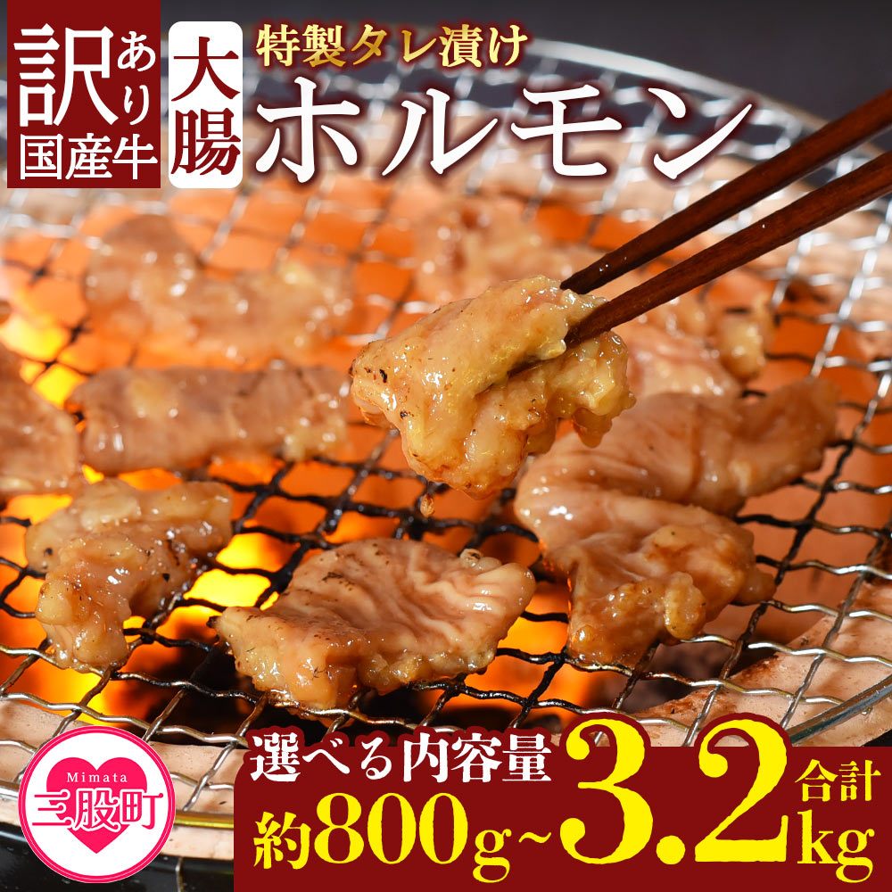 【ふるさと納税】【年内お届け】＜【訳あり】国産牛ホルモン大腸（特製タレ漬け）＞ 800g 1.6kg 3.2kg 国産牛ホルモン 国産 牛肉 肉 ホルモン モツ 大腸 冷凍 焼肉 焼き肉 BBQ もつ鍋 煮込み 小分け 焼くだけ 簡単 タレ漬け 簡易包装 野菜炒め 夕食【MI024-nk】【中村食肉】