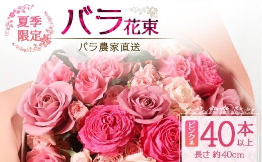 
            【先行予約・夏季限定 薔薇】ばら農家直送！バラ花束40本以上お届け(ピンク系) 【ギフト対応可】TB-6│ローズ 新鮮 花 フラワー 花束 ばら 薔薇 バラ 誕生日 記念日 結婚祝い ギフト プレゼント お祝い 贈り物 贈答 鹿児島県 南大隅町 富田バラ園
          