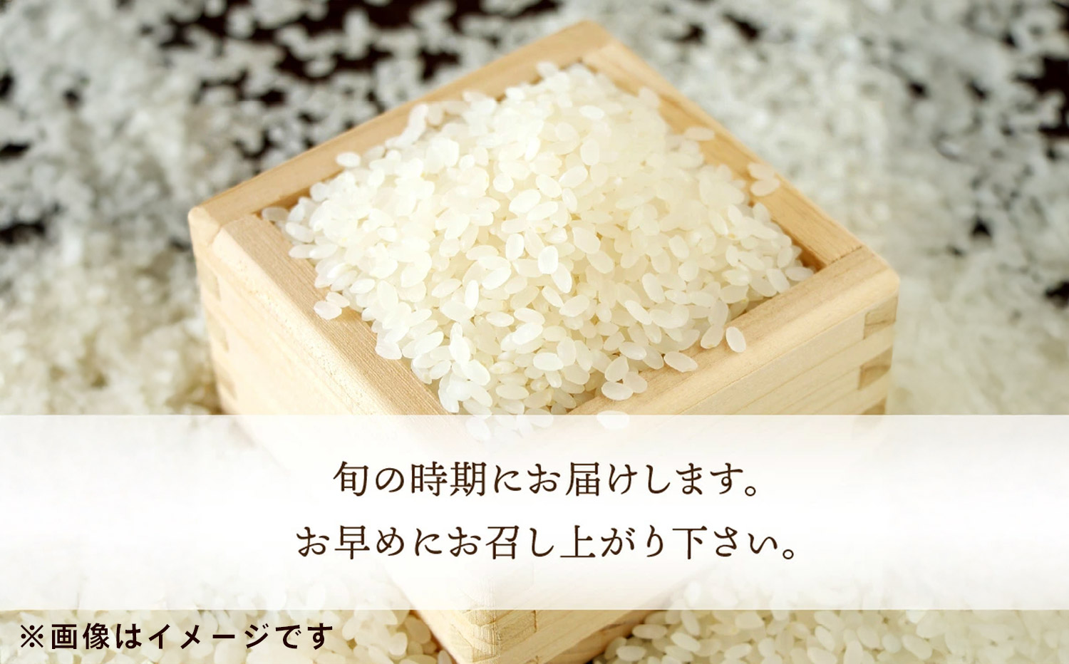 M64-0112_コシヒカリ　10kg