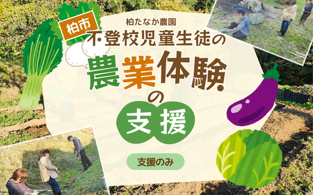 不登校児童生徒の農業体験の支援 （支援のみ） 〈 サポート 学び 食育 収穫体験 農業体験 体験 収穫 野菜 子供 親子 農作物 ふるさと納税 柏 〉
