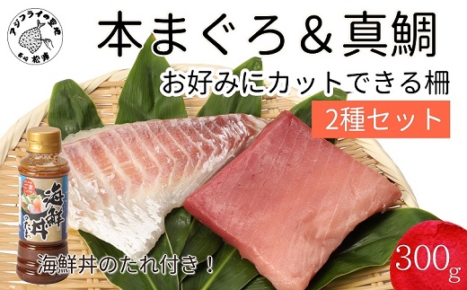 海鮮丼のたれ付！長崎県産本まぐろ＆ハーブ仕立ての真鯛　柵セット2種300g【B2-125】