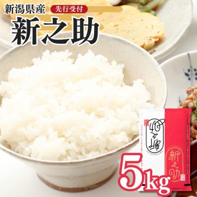 ふるさと納税 三条市 先行受付 新潟県三条産新之助 5kg×1袋 令和7年産新之助 精米 新潟県産新之助【014S148】