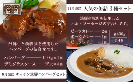 【定期便】人気のお肉レトルト商品詰め合わせ 全4回お届け | キッチン飛騨 4カ月 定期 CQ100 レトルト