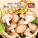 【ふるさと納税】菌床しいたけ　葛尾村産500gセット　送料無料