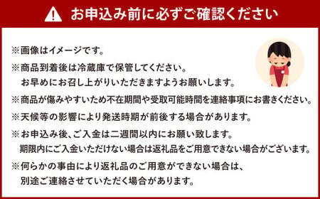 福岡県産 博多甘うぃ 約1.4kg（大玉9玉入り）【2025年11月上旬～12月上旬発送予定】キウイ キウイフルーツ フルーツ 果物 くだもの