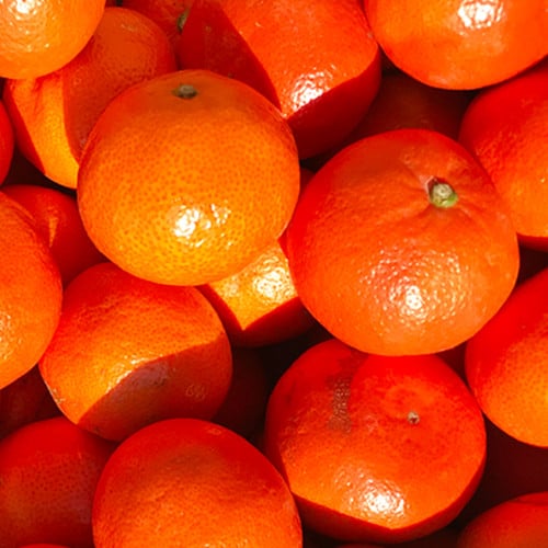 熊本県産みはや 約5キロ 果物 柑橘類