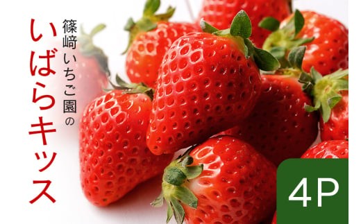 【2026年先行予約】いばらキッス4P (A32-005)