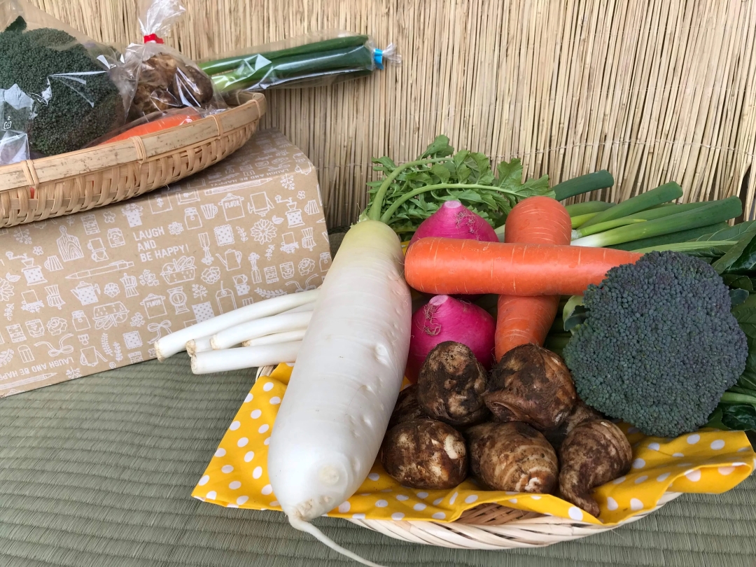 【10ヵ月定期便】【栽培期間農薬不使用】季節の野菜ハーフセット（6～7品）【自然 健康 農薬 なし 美味しい 安全 やさい 10回 鹿嶋市】（KBE-112）