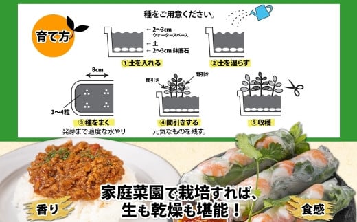 育て方も簡単！採れたてのハーブやスパイスでこだわりのお料理を作りましょう！