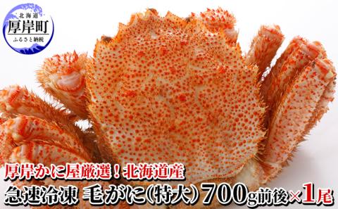 かに屋厳選 北海道産 急速 冷凍 毛がに（特大）700g前後×1尾 蟹 かに