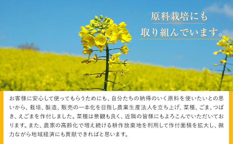 【隔月2回定期便】「堀内製油」の地あぶら (なたね油) 455g×6本×2回 定期便 堀内製油《お申し込み月の翌月から出荷》熊本県 氷川町 地あぶら なたね 菜種油 オイル 熊本県氷川町産---hkw