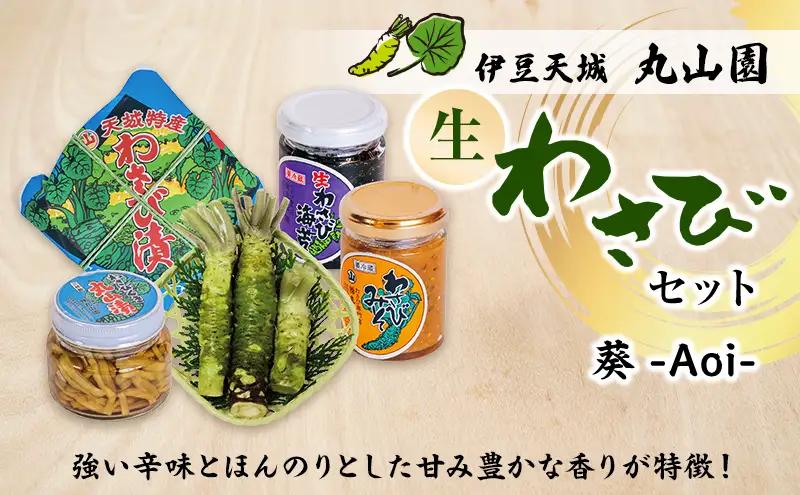 わさび 伊豆天城 丸山園 わさびセット 葵 詰め合わせ わさび