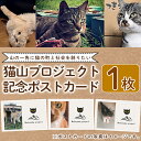 【ふるさと納税】猫山プロジェクト記念ポストカード(1枚)！霧島市 支援 応援 猫 動物 【chichinpuipui王国★猫山プロジェクト】