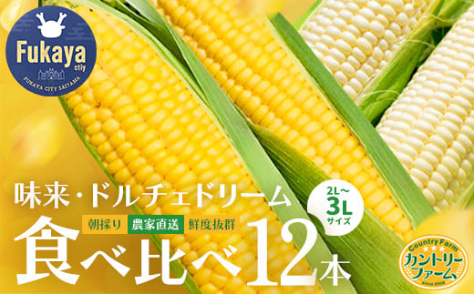 ＜先行受付：6月中旬以降出荷予定＞【農家直送】朝採りトウモロコシ＜食べ比べ2種セット＞　『味来（みらい）』6本・『ドルチェドリーム』6本　【11218-0467】