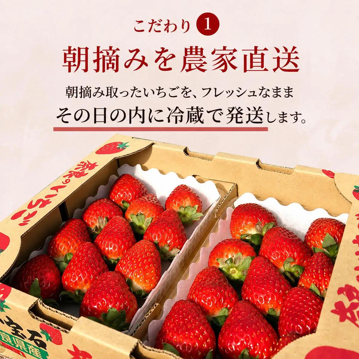 いちご 古都華 今西さん家の奈良いちご 奈良県産 いちご【約1080g 270g×4パック】【冷蔵 定期便2回】