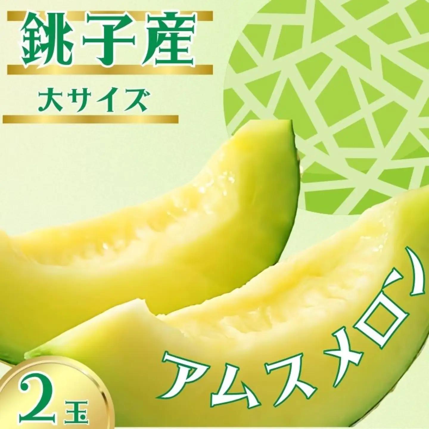 アムスメロン 2玉 メロン 【6月下旬～7月中旬発送】