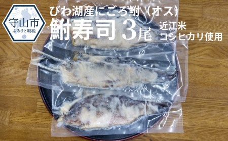びわ湖産にごろ鮒（オス）鮒寿司 ３尾 CJ-0003