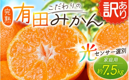 【訳あり】農家直送 有田みかん 約7.5kg ご家庭用 サイズ混合 ※2026年11月中旬～2027年1月より順次発送予定（お届け日指定不可）※北海道・沖縄・離島への配送不可 訳ありみかん みかん ミカン 蜜柑 柑橘 フルーツ 果物 くだもの 温州みかんサイズ混合 訳ありみかん 温州みかん 有機質肥料100% ふるさと納税 柑橘 有田 産地直送【nuk157F】