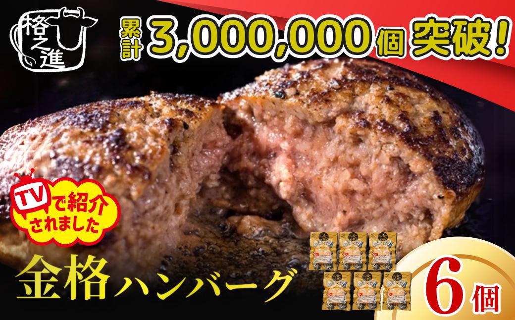 《格之進》金格 ハンバーグ 120g×6個 冷凍 人気 国産牛肉 白金豚 ～ お店の味をご家庭で 焼くだけ簡単～ 無添加 岩手 一関 贈り物 お取り寄せ