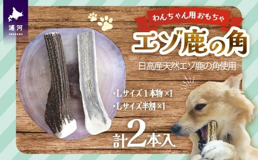 エゾ鹿の角 Lサイズ1本と半割1本のセット[54-1534]