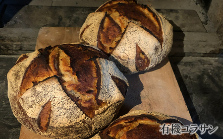 薪窯パン 有機古代小麦3種を使用したこだわりパン 有機古代小麦セレクションB 【 農家パン VERUM 】 ／ パン ぱん ブレッド ベーカリー 古代小麦 薪窯 薪窯焼き 薪窯焼 石窯パン 石窯 卵不
