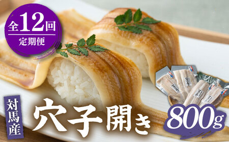 【全12回定期便】対馬 穴子 開き 800g [WAD031]アナゴ あなご 天ぷら 穴子重