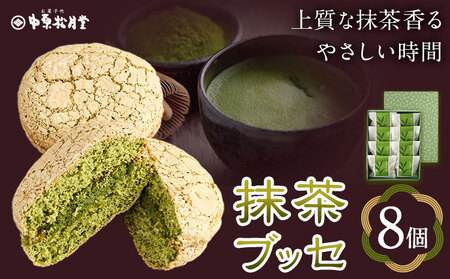 菊池銘菓 抹茶 ブッセ 1箱 8個入り 有限会社中原松月堂 《30日以内に出荷予定(土日祝除く)》 熊本県 和菓子菊池市 和菓子 洋菓子 お菓子 焼き菓子 菓子折り 銘菓 抹茶 ブッセ デザート スイーツ 九州