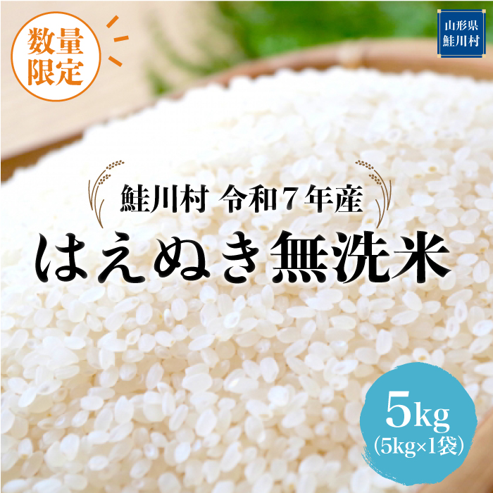 ◇数量限定品◇ ＜令和7年産＞ はえぬき 【無洗米】 5kg （5kg×1袋）鮭川村 《配送時期指定可》