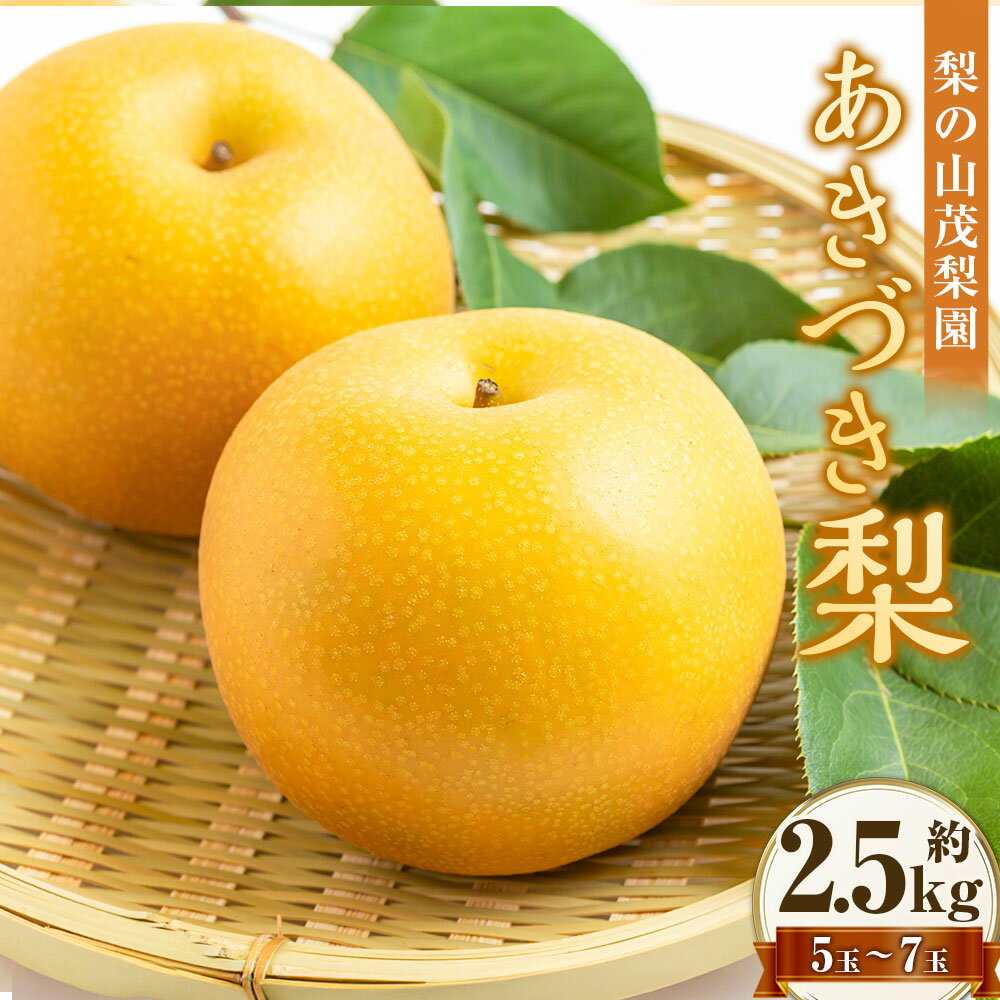【ふるさと納税】【先行予約】 梨の山茂梨園 あきづき梨 5玉～7玉（約2.5kg） 赤梨 梨 なし ナシ フルーツ くだもの 果物 果実 福岡県産 国産 九州 福岡県 うきは市 送料無料 【2026年9月上旬～下旬発送予定】