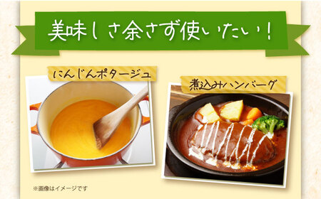 【12回定期便】毎日!黒田五寸人参ジュース180ml 10本セット 総計120本 大村市 おおむら夢ファームシュシュ[ACAA163]