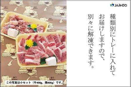 黒田庄和牛＆播州百日どり　BBQセット（大）【冷凍】