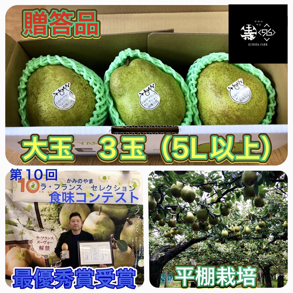 
                  西洋梨（ラ・フランス）大玉３玉　贈答品　0102-2603
                