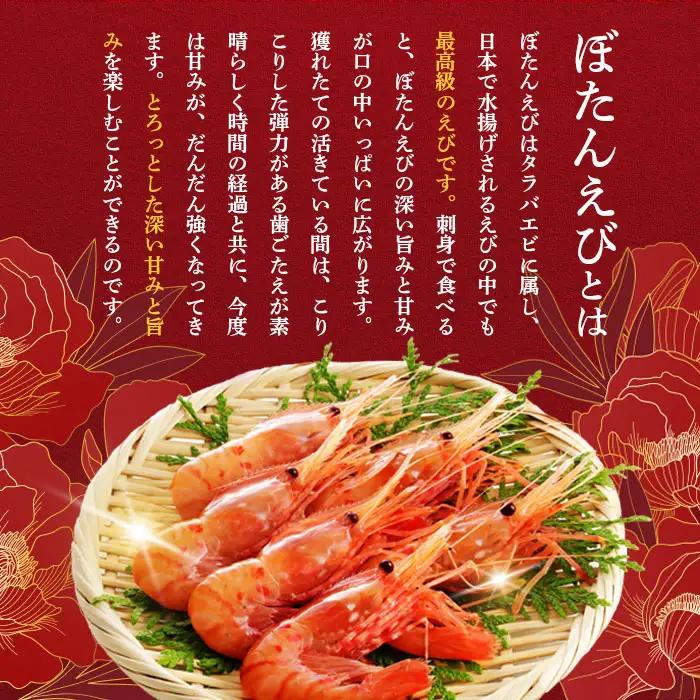超速リキッド凍結でドリップゼロ！北海道羽幌産生鮮ぼたんえび 600g（200g×3パック）【0311801】