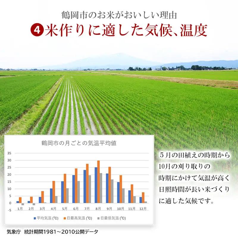 【令和7年産】 ササニシキ 精米 15kg (5kg×3袋)　山形県 庄内産　米食味鑑定士お薦め　| ささにしき 15キロ 米 お米 コメ 白米 食品 ご飯 ごはん 美味しい おいしい ブランド米 お