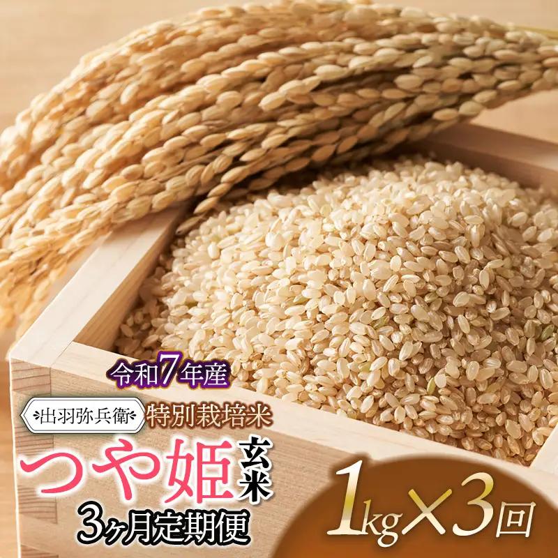【令和7年産】【定期便3ヶ月】特別栽培米 つや姫 【玄米】 1kg×３回　山形県鶴岡市産　出羽弥兵衛　| お米 米 コメ こめ ライス つやひめ 1キロ ご飯 ブランド米 国産 主食 お取り寄せ 返礼