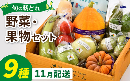 朝どれ 旬な野菜 果物セット９種類セット【お届け対象月 11月】農薬・化学肥料不使用
