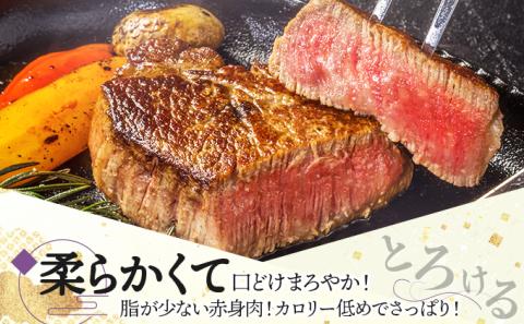 佐賀牛ヒレ 180g×6枚(8回定期便)