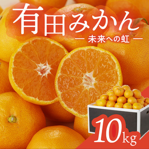 有田みかん「未来への虹」（10kg）(B2-2)