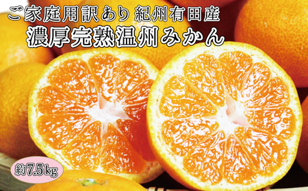 【ご家庭用訳アリ】紀州有田産温州みかん7.5kg【2026年11月下旬以降発送】【先行予約】【UT10】【uot704A】