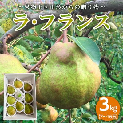 ふるさと納税 山形市 〜果物王国山形からの贈り物〜ラ・フランス 秀3kg FY23-707