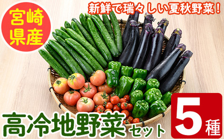 ＜数量限定・期間限定＞高千穂地区高冷地野菜詰め合わせ(5種) やさい きゅうり ピーマン トマト ミニトマト なす 茄子 冷蔵 季節 新鮮 旬 産地直送 【NK017】【宮崎県農業協同組合　高千穂地区本部】