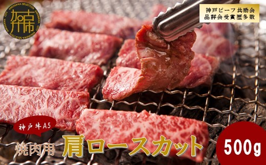 
            【神戸牛A5】焼肉用 肩ロースカット500g《 神戸牛 A5 肉 お肉 牛肉 和牛 肩ロース 焼肉 バーベキュー BBQ ギフト 》【2405A16402】
          