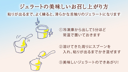 大地の恵み！！ 特製 ジェラート ( 和梨 ・ 栗 各1個 ) 計 2000ml アイス デザート スイーツ ふるさと納税 10000円 和梨 梨 栗 旬 [AU110ya]