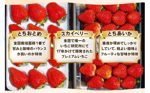 いちごの贅沢！栃木の3品種食べ比べセット 1,920g (960g×2) 《12月中旬～4月の期間で発送》 澳原いちご農園 | いちご 苺 イチゴ フルーツ 果物 産地直送 栃木県産 【12～4月の期
