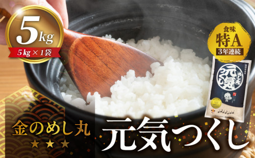 金のめし丸元気つくし 5kg 令和7年産_金のめし丸元気つくし 5kg 国産 白米 お米 元気つくし 金のめし丸 県産米 つや 粘り 冷めてもおいしい 安定した食味 精米 安心 おにぎり 食品 常温 森光商店 九州 福岡県 久留米市 お取り寄せ 送料無料_Gr045