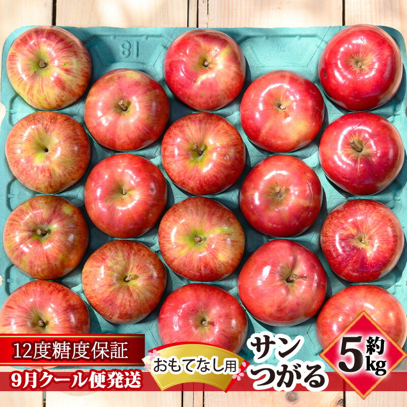 【ふるさと納税】【9月クール便発送】（12度糖度保証）おもてなし用 家庭用 サンつがる約5kg【 青森りんご 果物類 林檎 リンゴ 青森県産 フルーツ 旬の果物 産地直送 】　お届け：2026年9月中