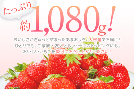 【2024年2月～3月順次発送予定】 あまおう 合計約1,120g 約280g×4パック DX