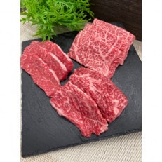 【伊賀牛】忍者ビーフ 焼肉セット 1kg(モモ300g、ロース300g、バラ400g)