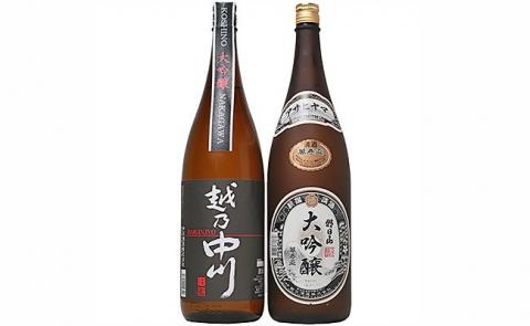 C1-A9大吟醸飲み比べセット（1800ml×2本）